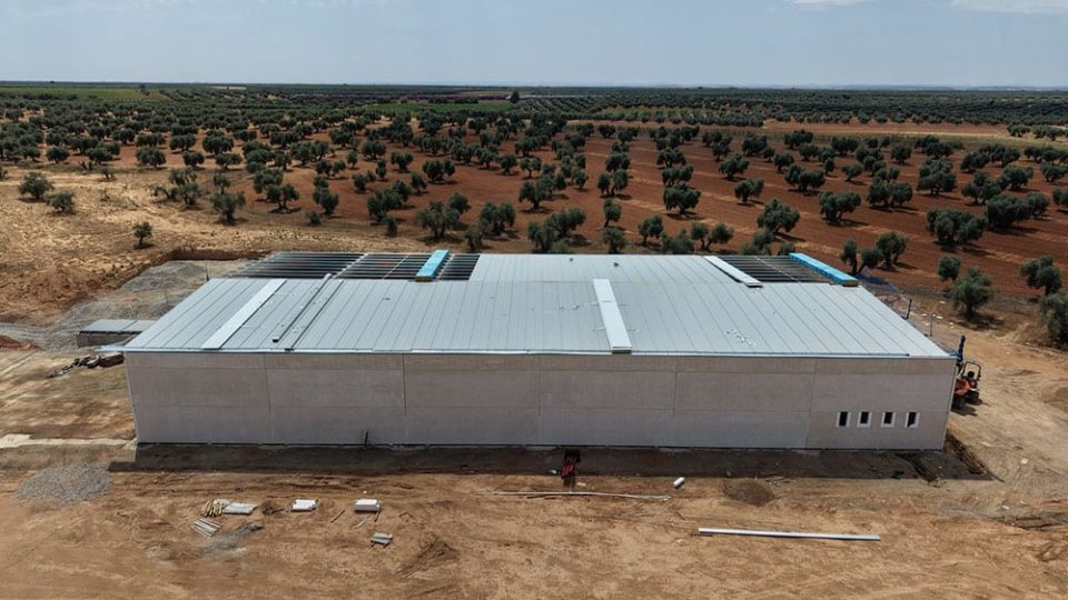 Dcoop pistacho 2026