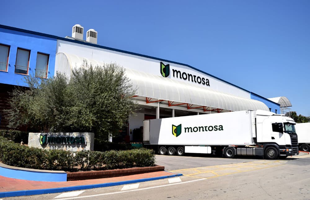 Enrique Colilles Frutas Montosa