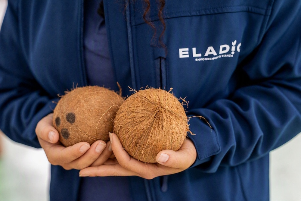 La compañía va a apostar por diversificar su catálogo, incluyendo, entre otras referencias, fruta cortada.